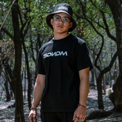 SDNDM