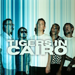 Tigers In Cairo