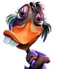 meech at play