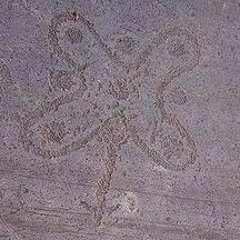 wishenbone