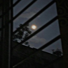 𝗈𝗇𝗅𝗒 𝗌𝗅𝗈𝗐𝖾𝖽