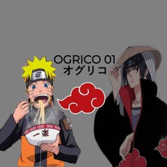 OGRICO 01
