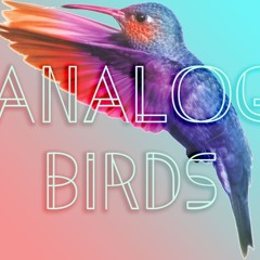 Analog Birds