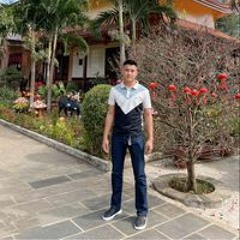 Hồ Phi Tuệ