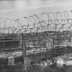 FENCE