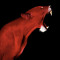 HOWL