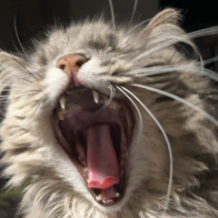 milly