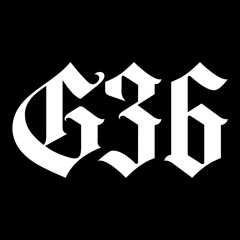G36