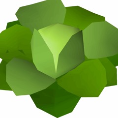 mootsalad