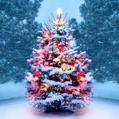 christmas is here!