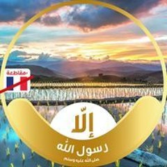 Mohammed Gtm