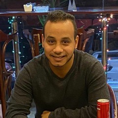 Mohamed Hussien Abo Elhaj