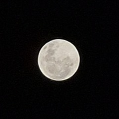 Padilha