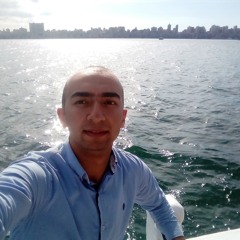 Ahmed Shaker
