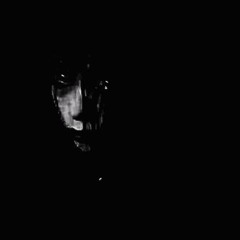Xinsanity666