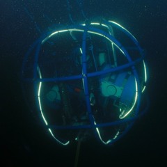 seesignals