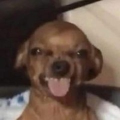 راميريز رونال