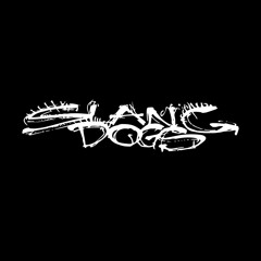 Slang Dogs