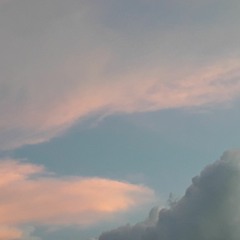 ♡●Milk~Tea●♡