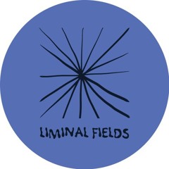 Liminal Fields