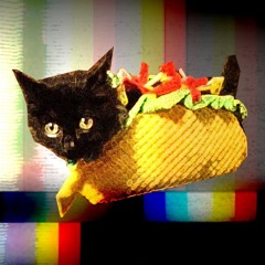 Tacocat