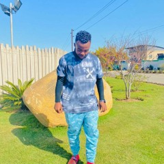 MR AMBASSADOR