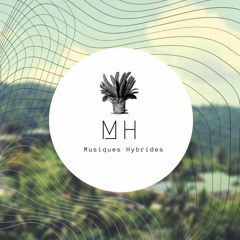 Musiques Hybrides