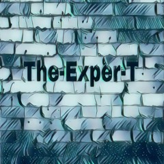 The-Exper-T
