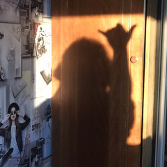 Тетяна Янковская