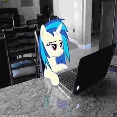 dollhound