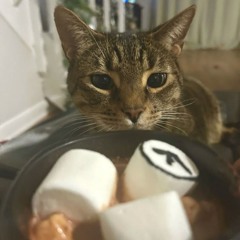 n_u