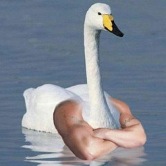 SWANNY HSW