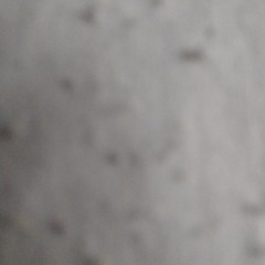 tremdocr7