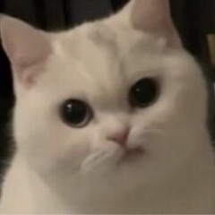 감밥조