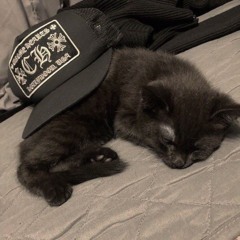 young dex archive
