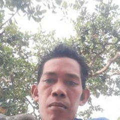 Akkas