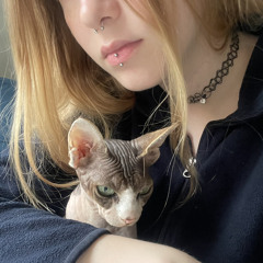 shq sqh moo