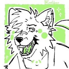 Stew Softpaws