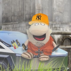 NBZ bardier