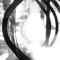 sylacane