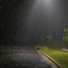 Аквариумов