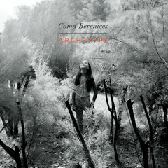 Hello! Coma Berenices