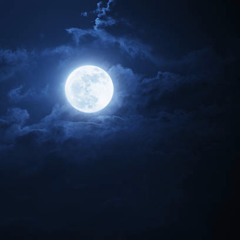 MoonVision
