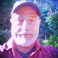 Mirza Hussain