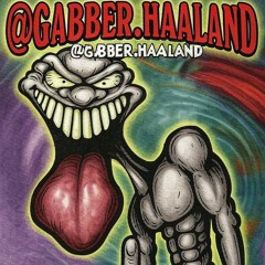gabber.haaland