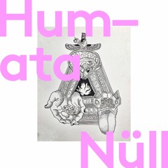 null electronic