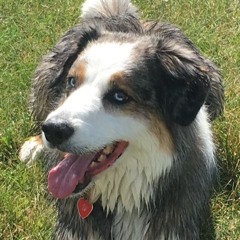 Chili and the NunYas