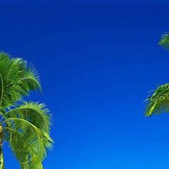 توفيق شلابي