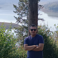 meysam alvandi