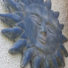 celvanegra